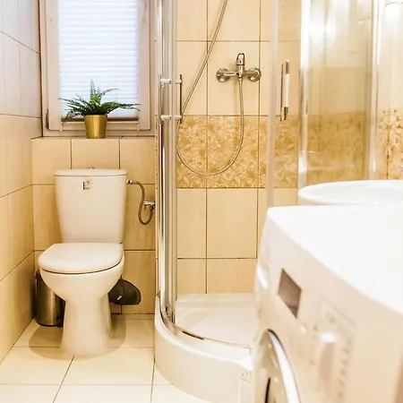 Apartman Studio Central